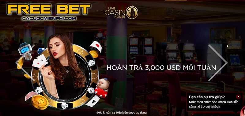 Ưu đãi độc quyền dành cho người dùng ứng dụng Dafabet - Dafabet