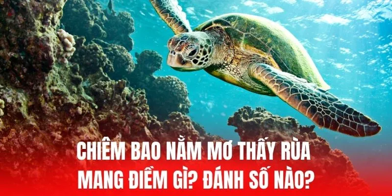 Ứng dụng di động trên trang web cổng game Kubet - Kubet