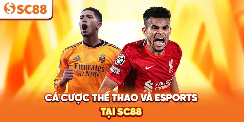 Việc sử dụng thẻ nạp tiền điện thoại di động để nạp tiền vào tài khoản Ko66 rất tiện lợi - Ko66