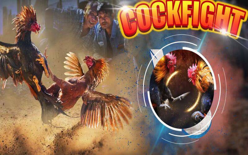 Các công ty game hạng Manclub sở hữu nguồn tài chính dồi dào - Manclub