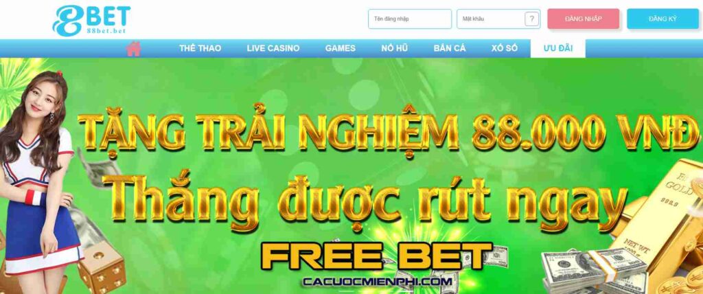 Hãy xem các chương trình khuyến mãi và giảm giá của 77Bet - 77Bet