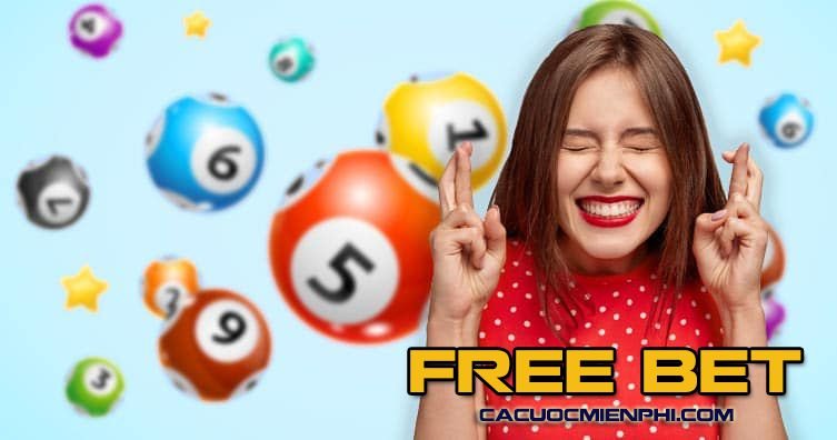 New88 Gaming cung cấp những lựa chọn cá cược nào? - New88