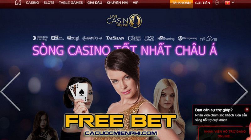 Mibet và các câu hỏi thường gặp - Mibet