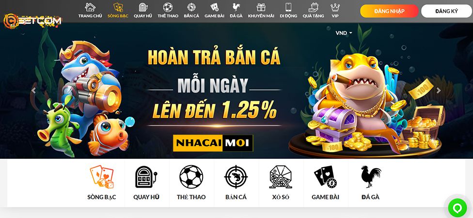 Kế hoạch hoàn tiền thua cược B52 - B52